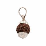 Shiv Ram Jyotish Kendra Seven Face Indonesian Silver Rudraksha Pendant