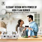 OPTIZEL POLTAR 2Burner Stainless Steel LPG Gas Stove I Manual Cooktop I Pure Brass Top I Sigdi I Chullah I 2 years Warranty