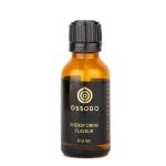 Energy Drink Flavour Glass Bottle 30 ml