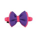 DP with animal paw Dogs Double Trouble Bow Tie Purple And Pink Medium(M)