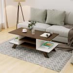 bluewud Anatdol Coffee table (Standard/Wenge & Frosty)