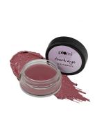 Plum Touch-N-Go Lip & Cheek Tint Highly Pigmented Effortless Blending Right Mauve - 127(Light Mauve)
