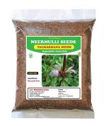 3V Products Dried Neermulli Seeds Raw Talmakhana Seed, 200 G