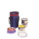TOPWARE Executive Lunch box with Bag 4 Containers Lunch Box (1000 ml) 4 Containers Lunch Box