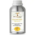Charming Aura Solar Plexus Chakra (Manipura) Balancing & Activation- 100% pure & natural, undiluted Essential Oils Blend for Diffuser & Aromatherapy - 120 ml (Solar Plexus Chakra, 120 ML (pack of 1))
