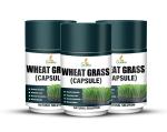 Grinbizz Wheat Grass Capsule For Antioxidant/Energy/Detox/Skin Health Boost Immune System