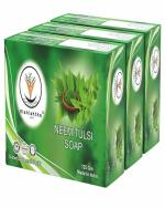 VISHISHTHA CARES Neem Tulsi Soap125g | Handmade Bathing Soap | Herbal Soap for Removing Dirt & Impurities | Suitable for All Skin Types| Pack of 3