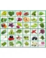 Heirloom Easy to Grow Vegetable Seeds