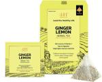 HEALTHY & HYGIENE Ginger Lemon Herbal Tea | Natural Flavour | caffeine free Herbal Tea Pouch (20 Bags)