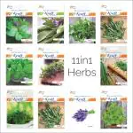 Kraft Seeds Garden Essentials Herbs Seeds Easy 14 Varieties of Heirloom