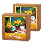 Trustbasket Multicolor Cocopeat Block - Expands To 150 Litres Of Coco Peat Powder (2)