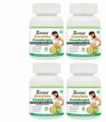 Zindagi Wheat, Sugar and Gluten Free Garcinia Cambogia Extract Capsules for Weight Lose 60 Tablets (Pack of 4)