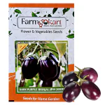 Farmgokart | 5 Gms BRINJAL (BEGAN ,EGG PLANT ) F1 -HYBRID SEEDS | for Home Gardening, Farming & Hydroponics |
