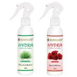 Euro Care Car Air Freshener, Room Freshener/ Spray - Fragrance Rose & Lemon Grass, 400ml Spray , 2 Unit