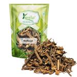 YUVIKA Dantimool - Danti Mool - Baliospermum Montanum (800 Grams)