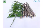 FOLS AYURVEDIC NEEM STICKS | NATURAL BRUSH | TEETH CLEANER/WHITENER | 10 cm * 100 sticks