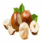 Paleo India Hazel Nuts 400gm Hazel Nuts Kernals Dry Fruits and Nuts Turkish Hazel Nuts