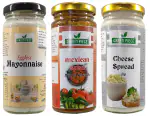 Green Piece Maxcain Salsa, Eggless Mayonnaise, Cheese Spreads & Dips (250gmx3) (Pack of 3)
