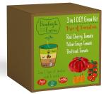 Bombay Greens Seed Starter Grow Kit - Tomotoes