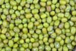 Green World Moong Seed 3 kg
