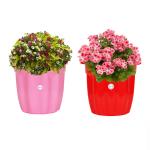 Kraft Seeds Multicolor Planter Bold Victoria Mini Nursery Round Pots 14X14X10.5 cm (Pack of 2)