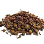 Xetomos Mesuoferrea Ocrocorpuslingifolim Nag Keshar Cobra Saffron 250Grams