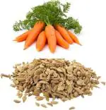 Nutrixia Edible Carrot Seeds-Beej Gajar-Daucus Carota 50 Gms