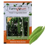Farmgokart | 5 Gms RIDGE GOURD ( TORU, TORAI ) HYBRID F1 SEEDS | for Home Gardening, Farming & Hydroponics |