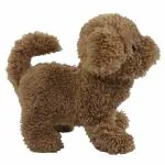 Rowan Movers & Shakers Baby Cairn Terrier Plush Soft Dog Interactive Toys for Kids age 3Y+ - 13.4 Cm (Brown)