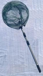 Bird Catching Net Imported from Belgium-Good for catching Birds in Big Aviary Cage