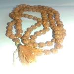 Small Rudraksha mala Five Face 100% Original Nepal Rudraksha By Shivalayam