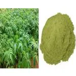 Vi Vethan Malaivembu (Chinaberry) powder 50gm