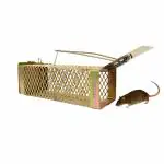 PESTEZY Mouse/Rat Trap cage/Big Iron Rat Trap for Catching Rats/Mouse Catcher Box/Chuha Pakadne ka Pinjara with New & Heavy Quality (Criss Cross small Trap)
