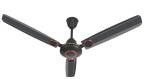 Eskon VICTOR SMOKE BROWN 3 Star 1200 mm Silent Operation 3 Blade Ceiling Fan (SMOKE BROWN, Pack of 1)