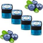 Pink Plums Blueberry Non-Tinted Lip Balm For Dry, Cracked Lips, 20 Ml (Set Of 4)