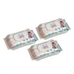 Earth Lap Eco-Friendly Pet Wipes: 100% Biodegradable, Fragrance Free Grooming Wet Wipes for Dogs, Cats, Puppies, Rabbits, Small Pets - 300 Count, 3 Pack