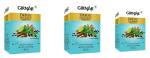 Girnar Detox Green Tea - Desi Kahwa| 36 Tea Bags in Each Pack| Pack of 3| + Green Ilayachi 25g |