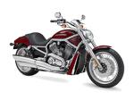 Divinedesigns Multicolor Vinyl Harley Davidson Wall Sticker - 76 X 53 Cm