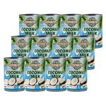 Nature's Spice Coconut Milk with 17% Fat - 4800ml, Mega Saver Combo Pack of 12 x 400ml (Carton Pack)