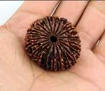 Feel Touch Mart Original Certified 21 Mukhi Nepal Rudraksha Pendant by Lab Certified
