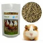 Jainsons Guinea Pig Food (900gm) - All Natural Guinea Pig Pellets for Adults and Young Guinea Pigs Essential Ingredients for a Healthy, Active Lifestyle