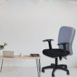 EMOLIFE BLOSSOM Low back Ergonomic office Chair (Grey Black)