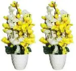 Green Plant indoor MultiBlossom6211 Multicolor Orchids Artificial Flower with Pot (7 inch, Pack of 2)