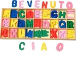 MontyMaestro Toys- Wooden Alphabet Colour Letters with Storage Tray | Activity toy| Montessori game| Early Educational toys |Toys| Games|Alphabets|Learining toy | Multicolour [ 3+]