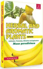 27. Musa paradisiaca (Banana)