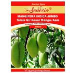 SENECIO Mangifera Indica Jumbo, Talala Gir Kesar Mango, Aam Seed Pack of 5