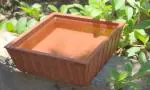 Nature Forever Earthen Pot Teracotta Bird Bath 8 X 8 inch
