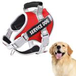 QpetsD-Ring Body Belt for Dogs, Dog Harness for Large Dogs with Safety Reflective Strip, Quick Release Buckle Adjustable Size Easy Control Handle for Medium Large Dog for 23-30kg(L)