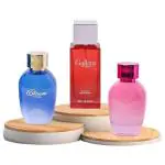 Bel Avenir GIFT COMBO set of 3 Luxury Long Lasting Eau De Perfumes For Men & Women | For Unisex - (Male -1/Female 2 fragrances- 100ml each) (Combo 2)