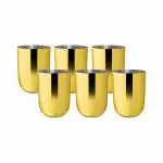 Shri & Sam Majestic Gold Stainless Steel Glass 6 pcs
